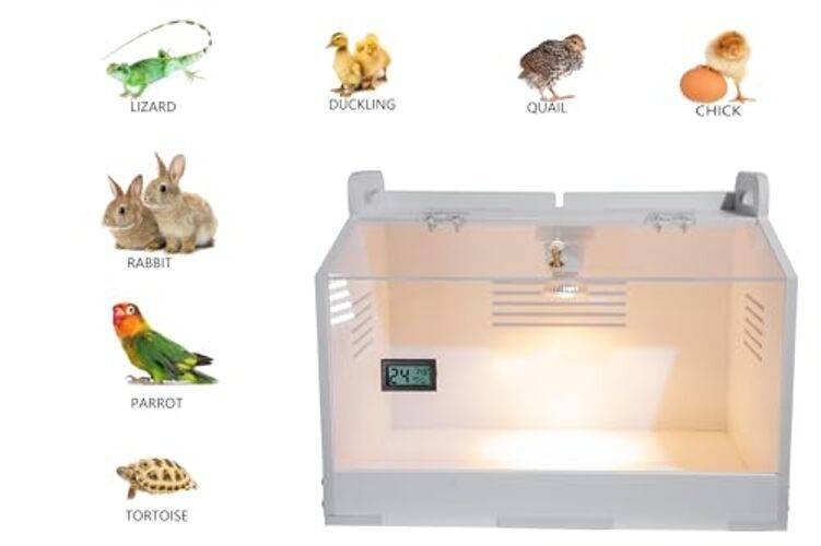 Intelligent Brooder Box Chicken brooder Quail cage for Newborns Chicks Ducks