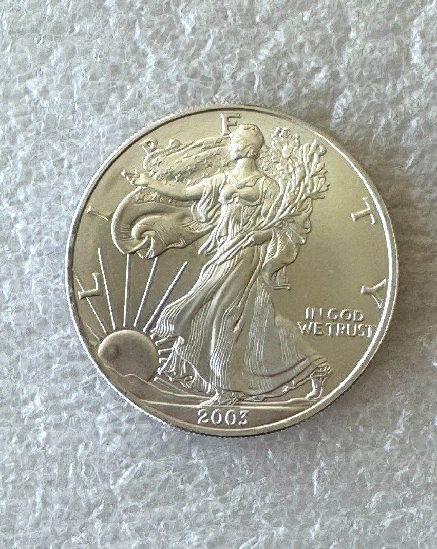 Silver 2003 American Eagle 1 oz. Fine Silver .999 US Mint Silver Eagles 1oz Coin