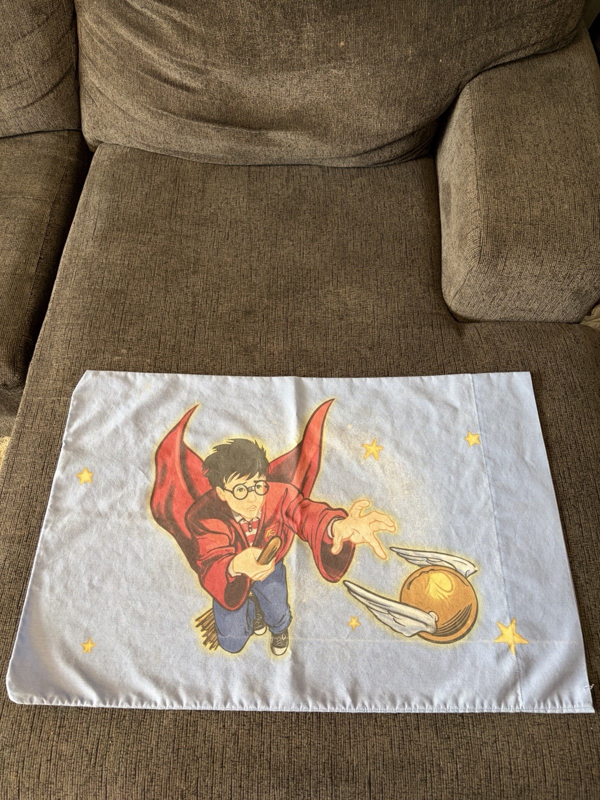 Vintage Harry Potter Quidditch Snitch Standard Pillow Case Double Sided