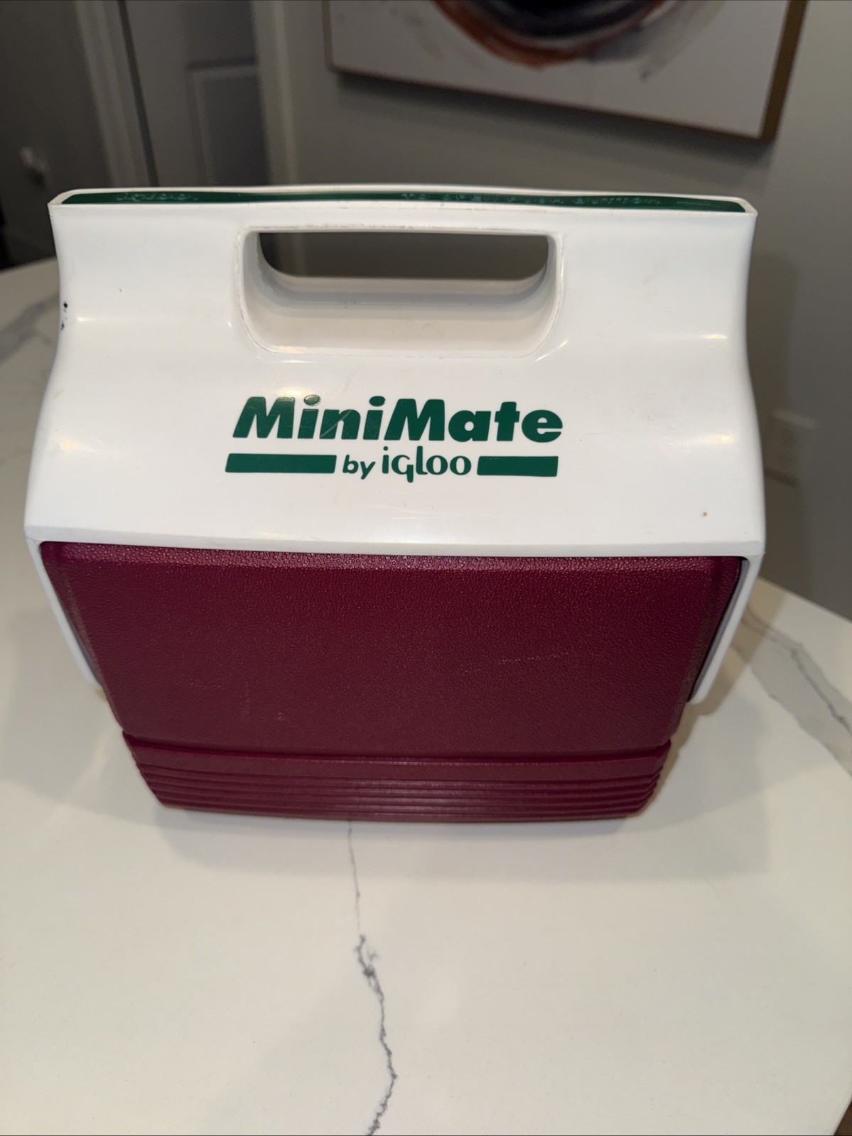 Vintage 90’s Mini Mate Cooler Lunchbox By Igloo USA Made Retro Red White Green