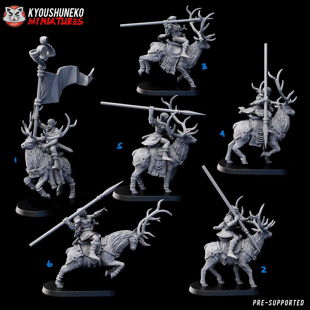 Wild Riders - Female + Male (Gaelic Wood Elves) (Set of 12) - 28-32mm Resin