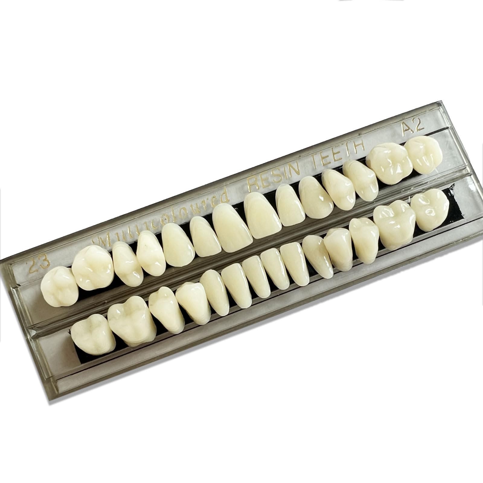 56 Pieces False Teeth Acrylic Resin Denture Tooth, Tooth 23 A2