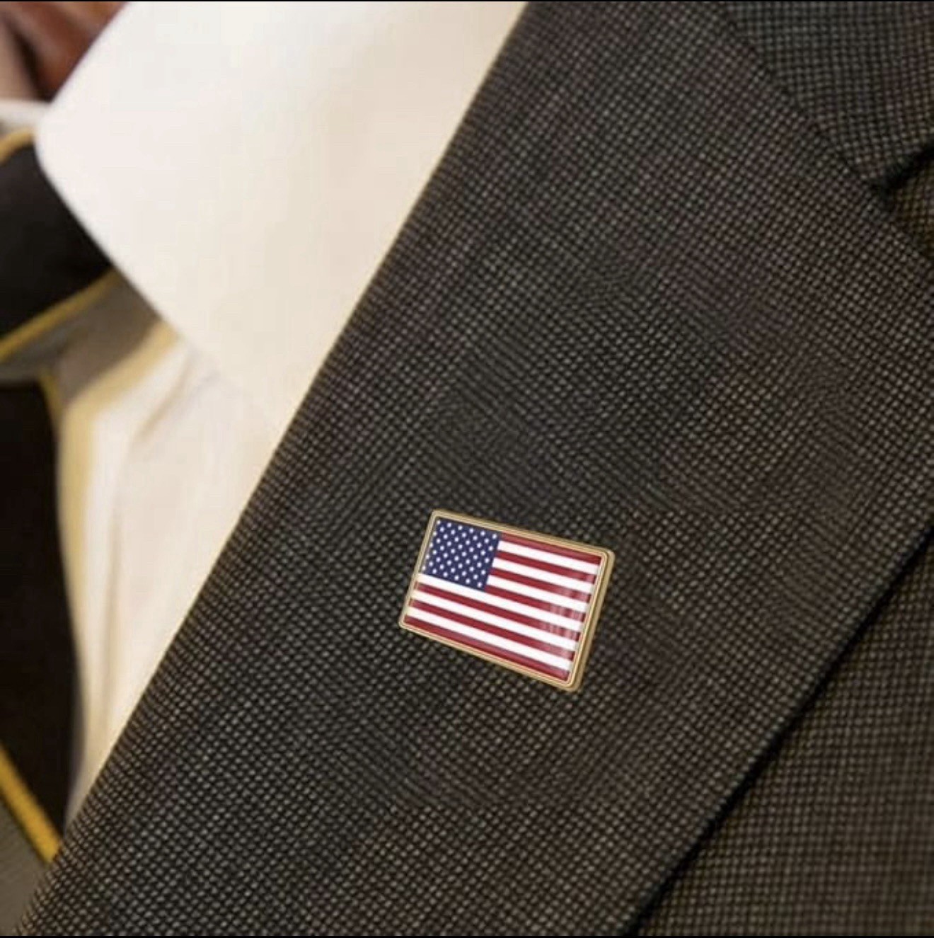 Coat of Arms American Flag 🇺🇸 Lapel Pin United states of America