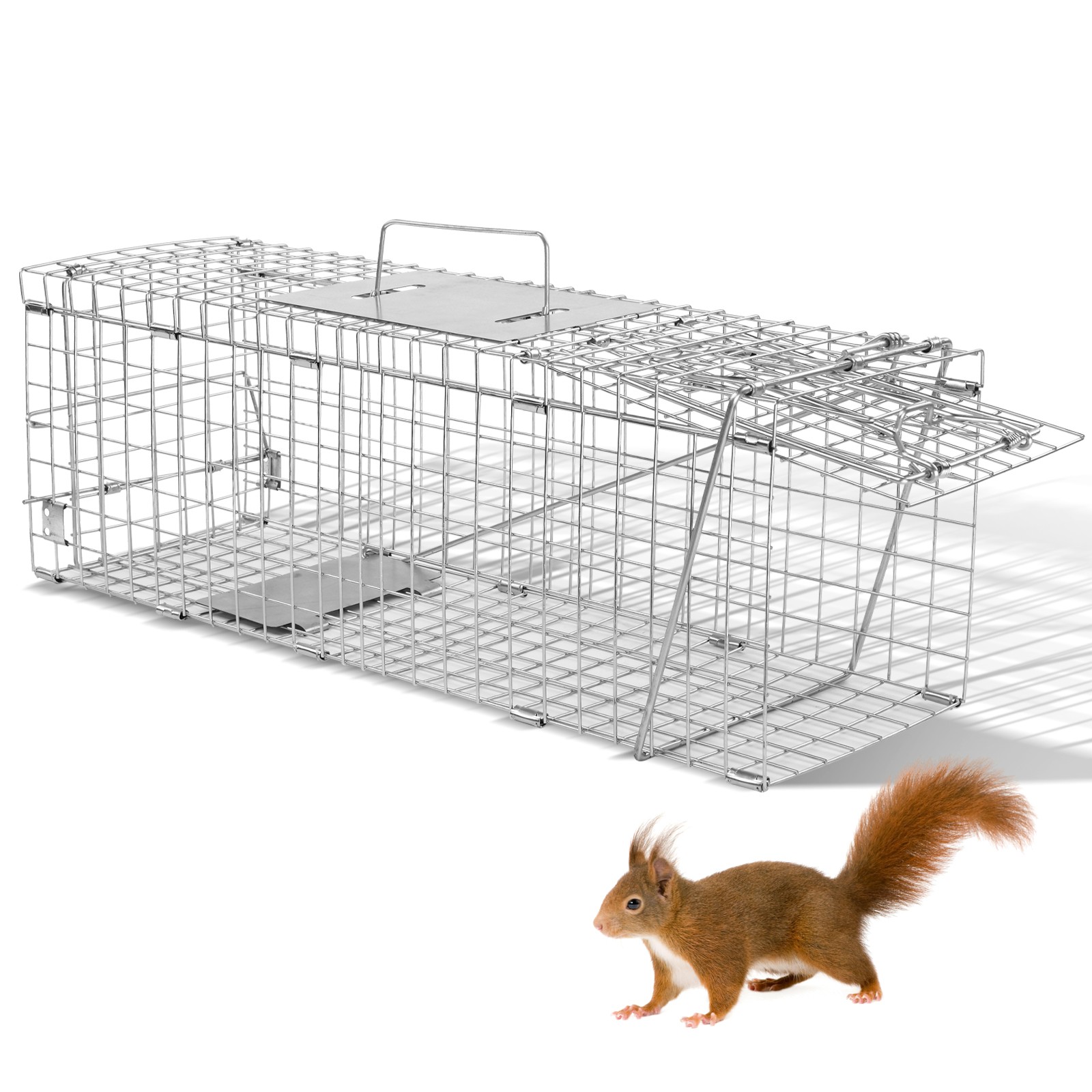 24in Live Animal Cage Folding Raccoon Trap Handle for Rabbits Squirrels Skunk