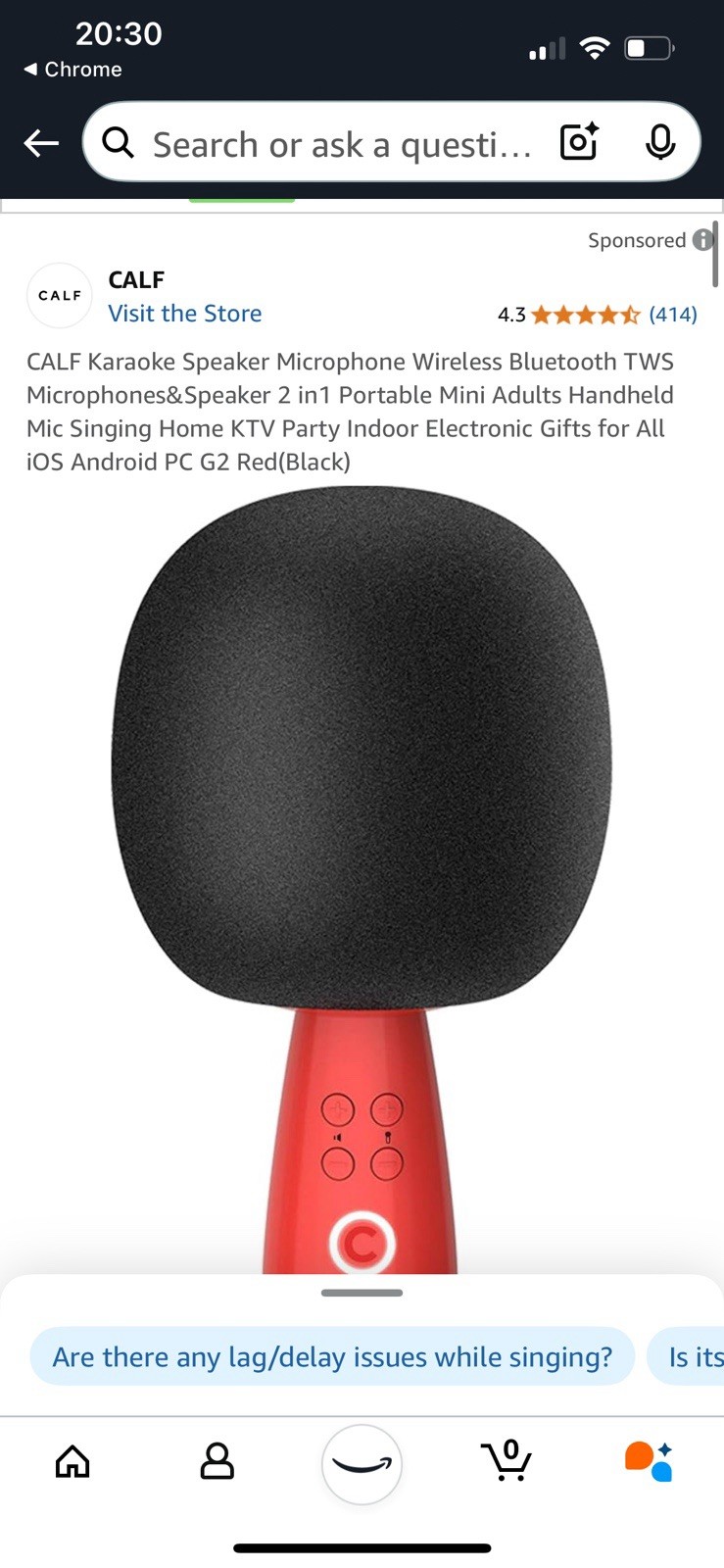 Karaoke Microphone