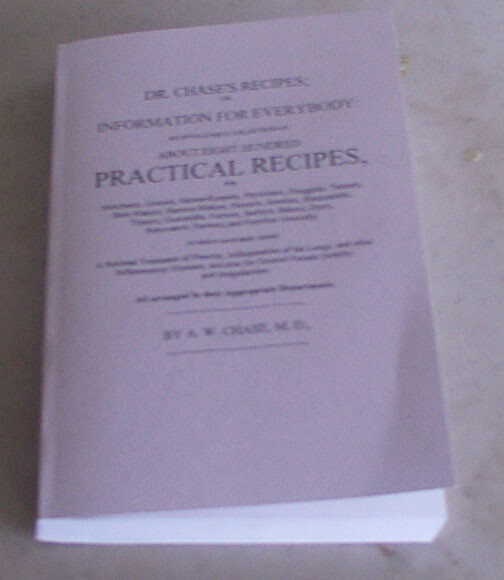 Dr. Chase's Recipes or Information For Everybody, Civil War Book, New
