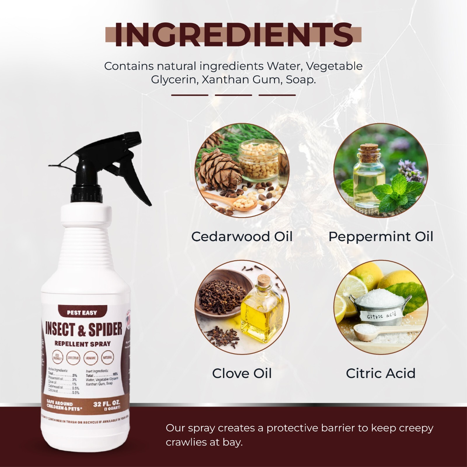 EASY Spider & Insect Mist, Natural Deterrent Safe for Home, Pets 16oz.