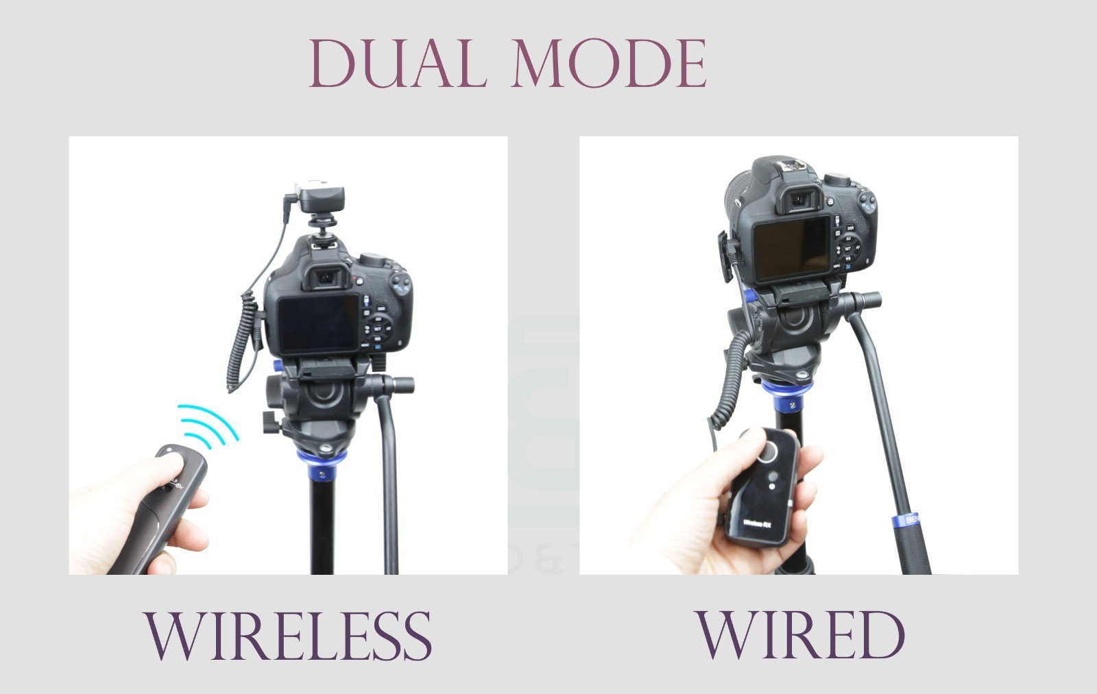 360 Angle Wireless Remote 100M f Canon EOS R6 Mark III