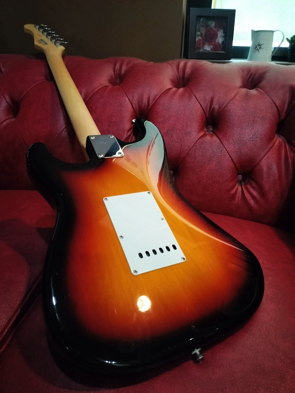 FUJIGEN FGN BCST100