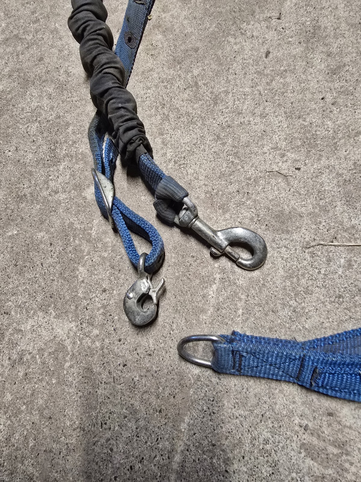 Blue Nylon Horse Sized Tie Down Used