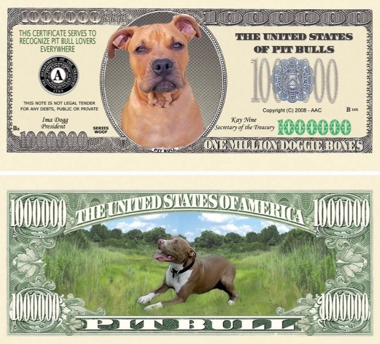 Pack of 50 Pit Bull Terrier Dog Collectible 1 Million Dollar Bills Novelty Money