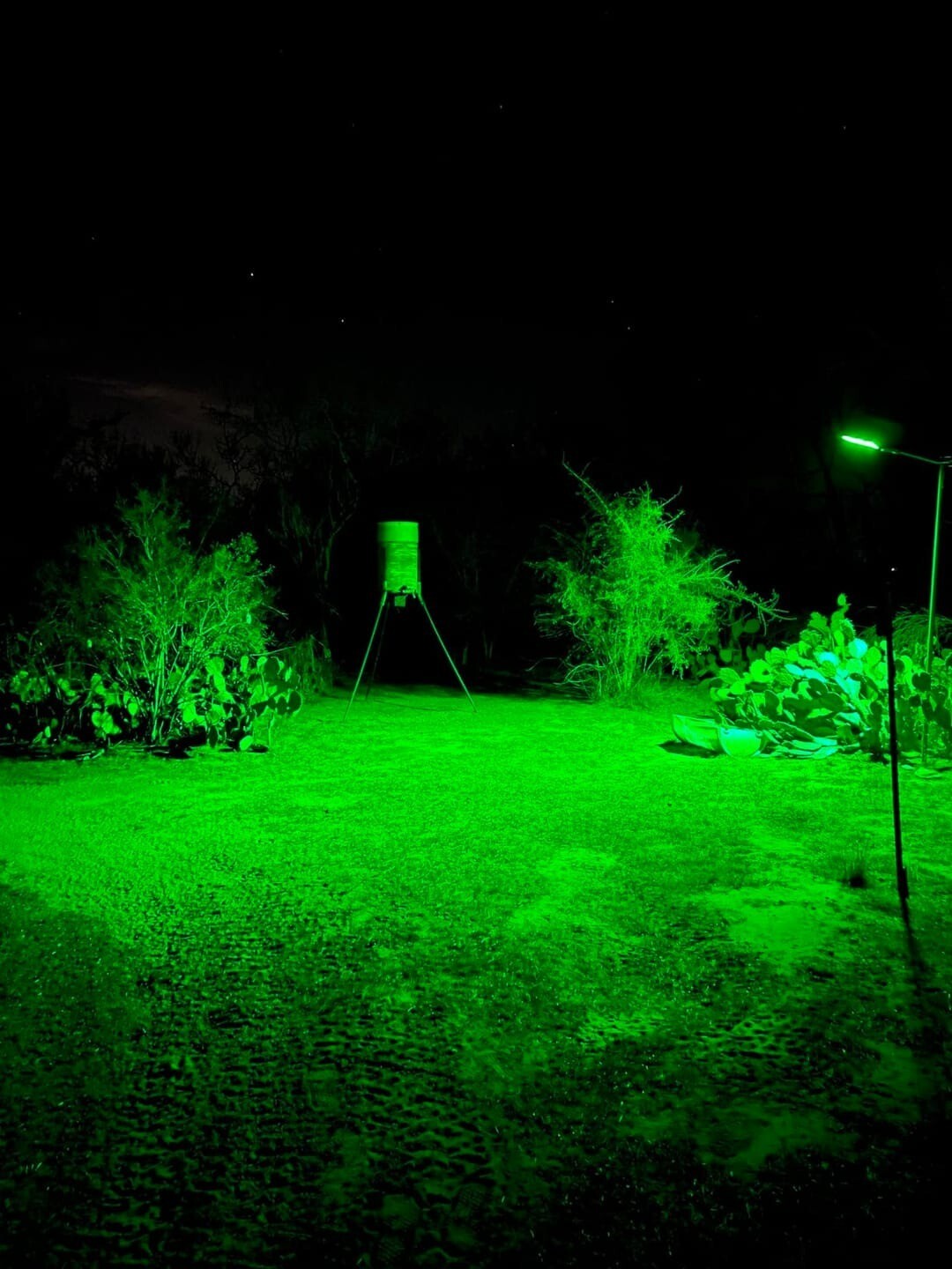 Hog Hunting Light Green Solar Light for Hunting Hogs on Feeders