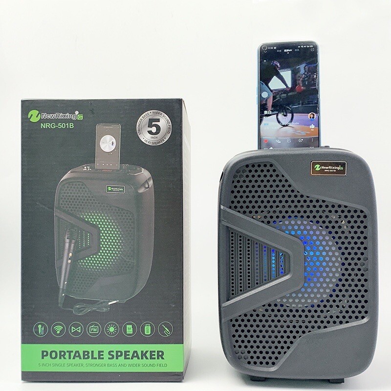 Portable Karaoke Machine Speaker with Microphone,Bluetooth 5.0, Wireless Speaker