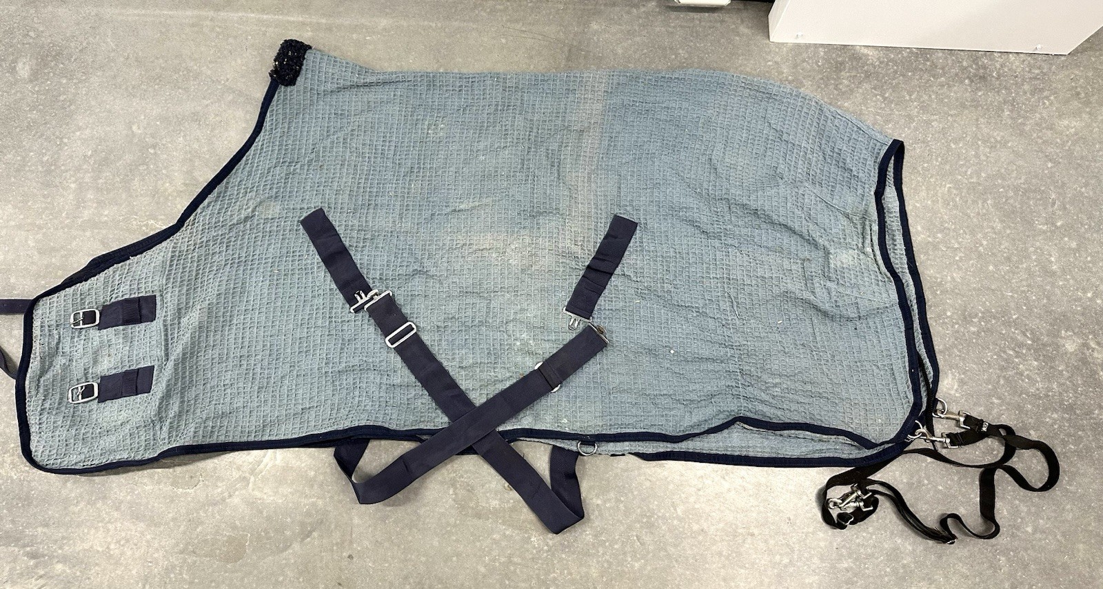 Horse Anti-Sweat Sheet Cooler 68” Light Blue Waffle Knit Horse Cool Out Blanket