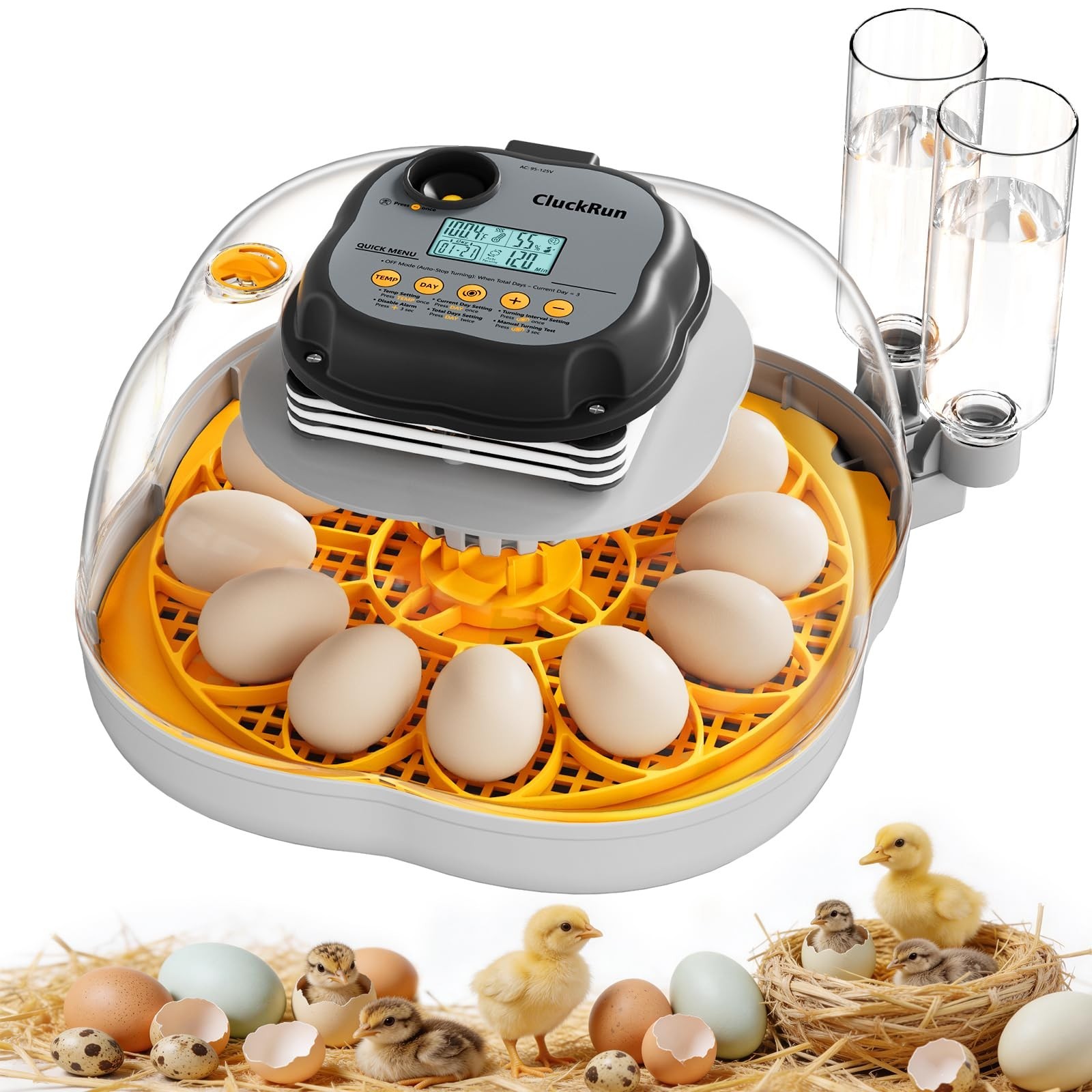 12 Egg Incubator for Chicken & Quail - Automatic Turning, Egg Candler, Clear Vie
