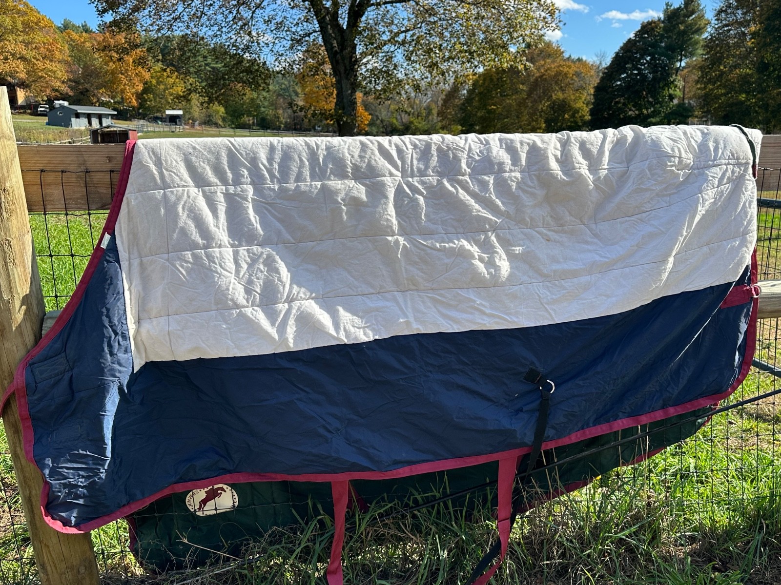 Jumper's Horse Line Medium Blanket - Size 81