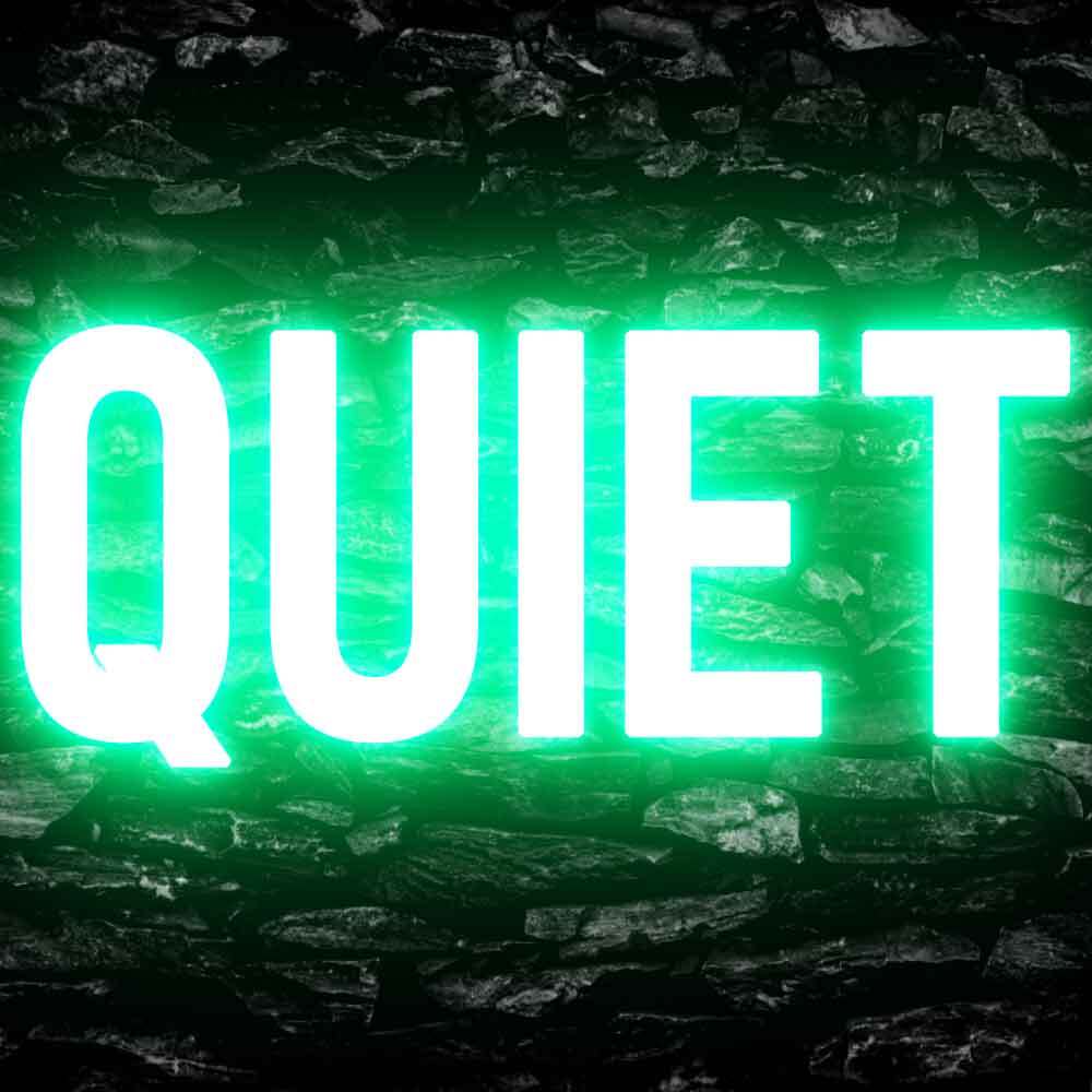 Quiet Please Office Decor Display Flexible Custom Neon Sign