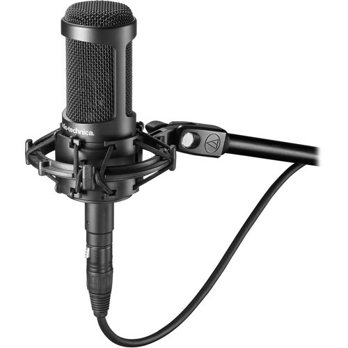 Audio-Technica AT2035 Cardioid Condenser Microphone, 10 Ft XLR Cable, Bundle
