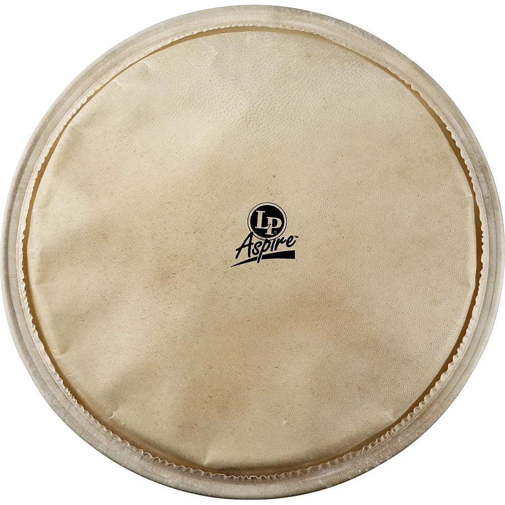 LPA630A Djembe Replacement Head 12.5"