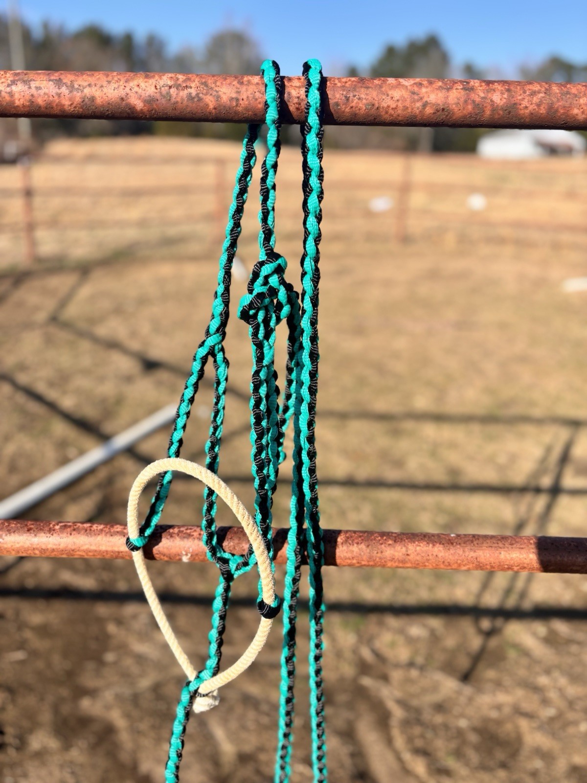 Muletape halters