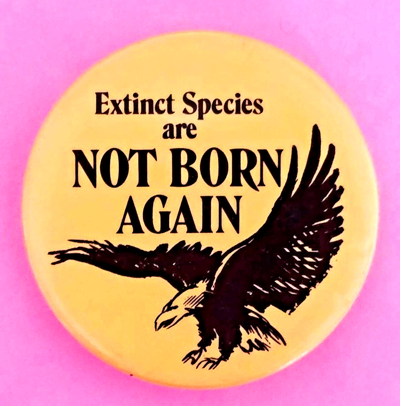 EXTINCT SPECIES ARE NOT BORN AGAIN 1982 Protest Button with BALD EAGLE