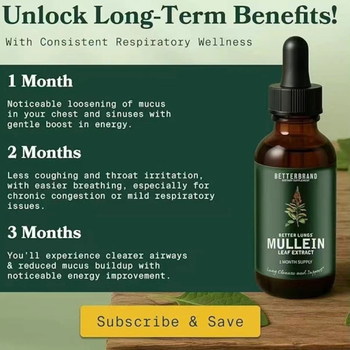 Mullein & Chlorophyll Liquid Drops – Respiratory Support & Lung Cleanse