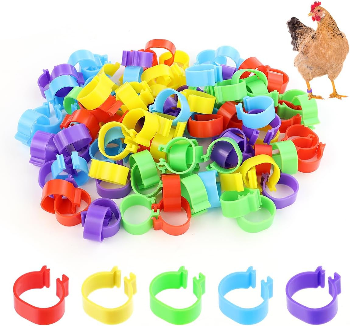 Juego de 100 Anillos de Identificación para Pollos 16mm de Colores para Aves