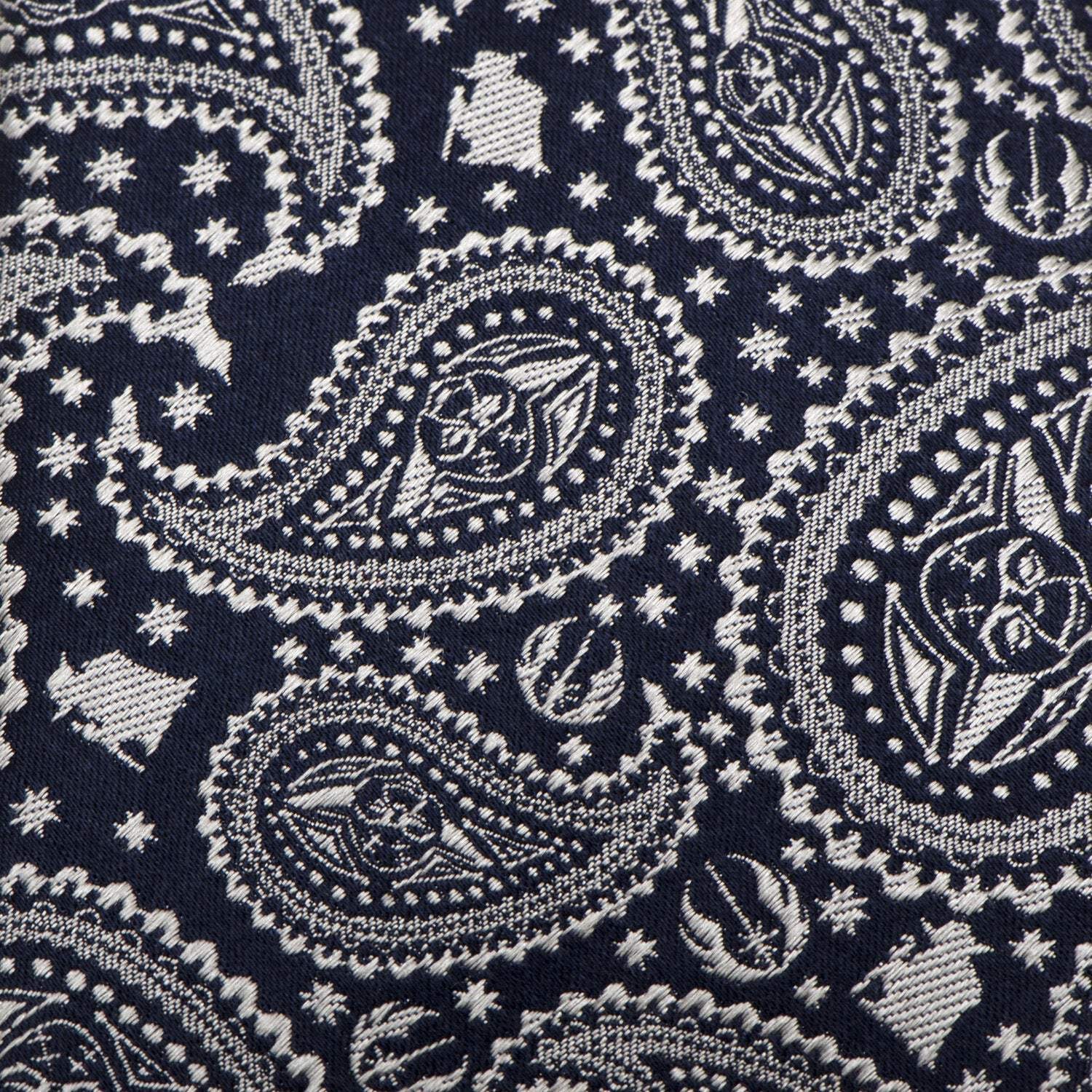 Star Wars Yoda Navy Paisley Tie