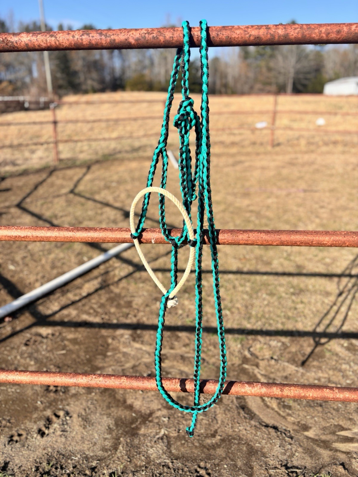 Muletape halters