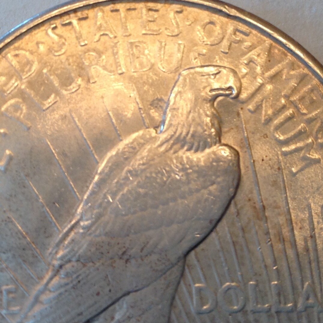 1934 D Peace Silver Dollar cd