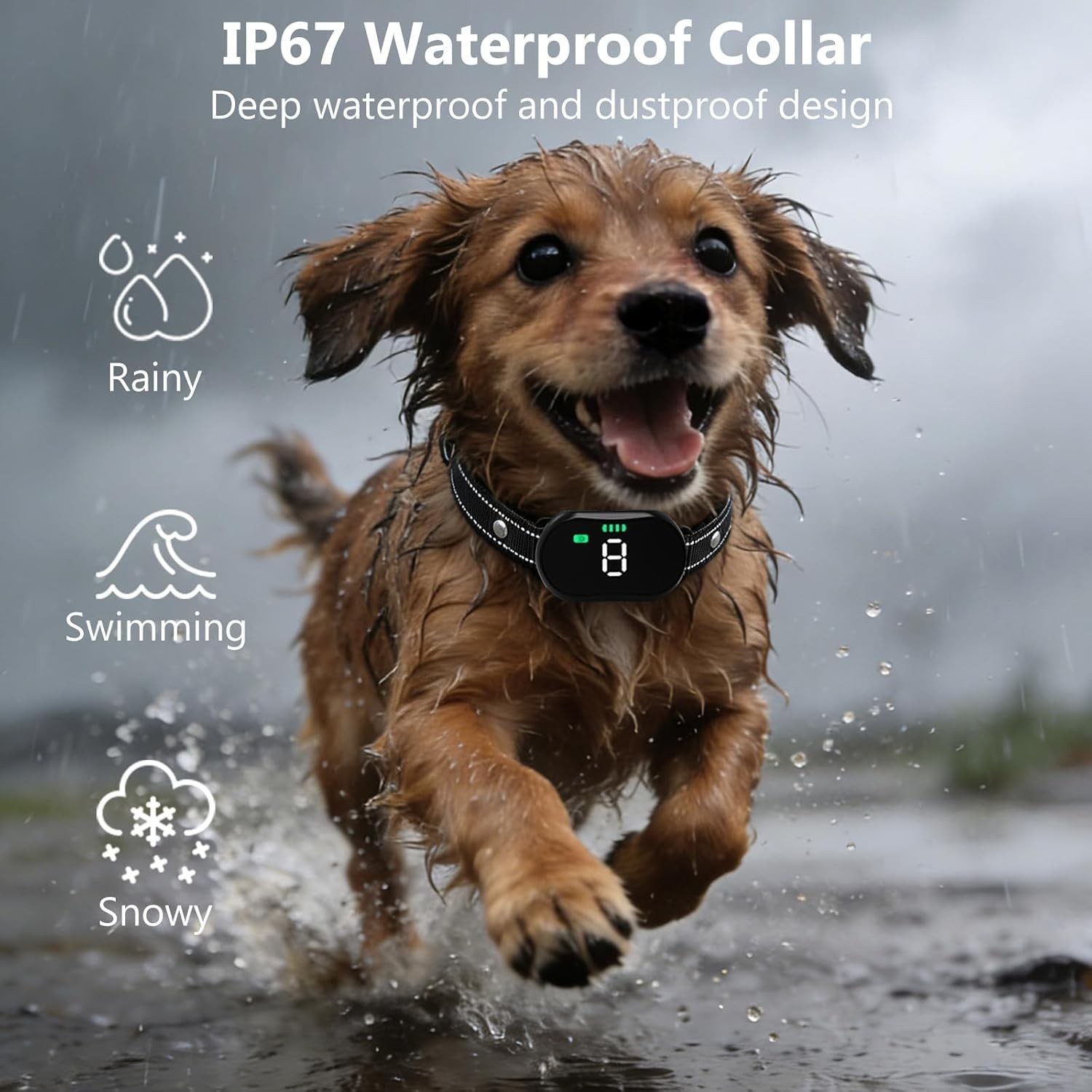 KIP Dog Training Collar with Deterrent Device, Waterproof E-Collar