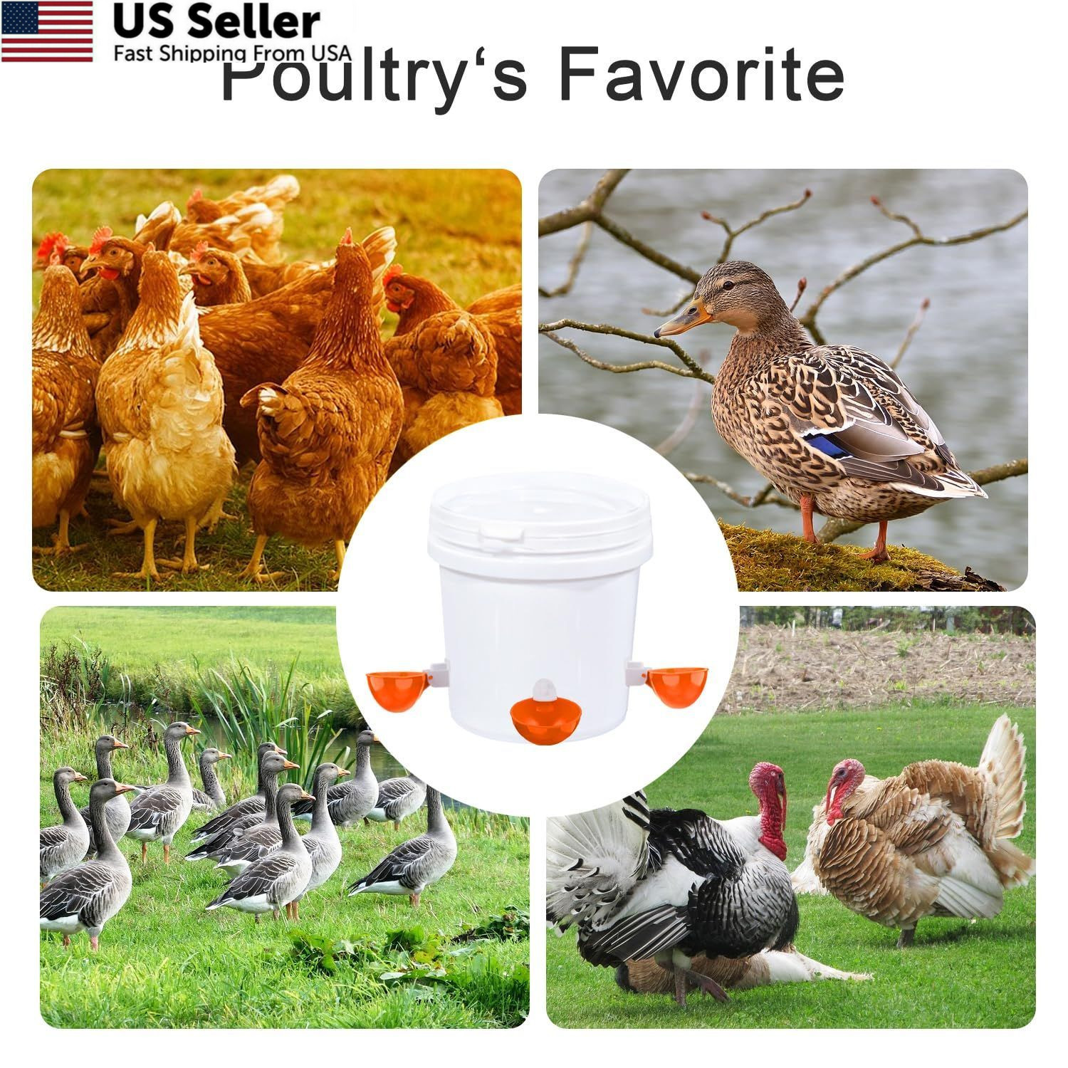 Chicken Waterer Cups, 8 Packs Orange Large size,