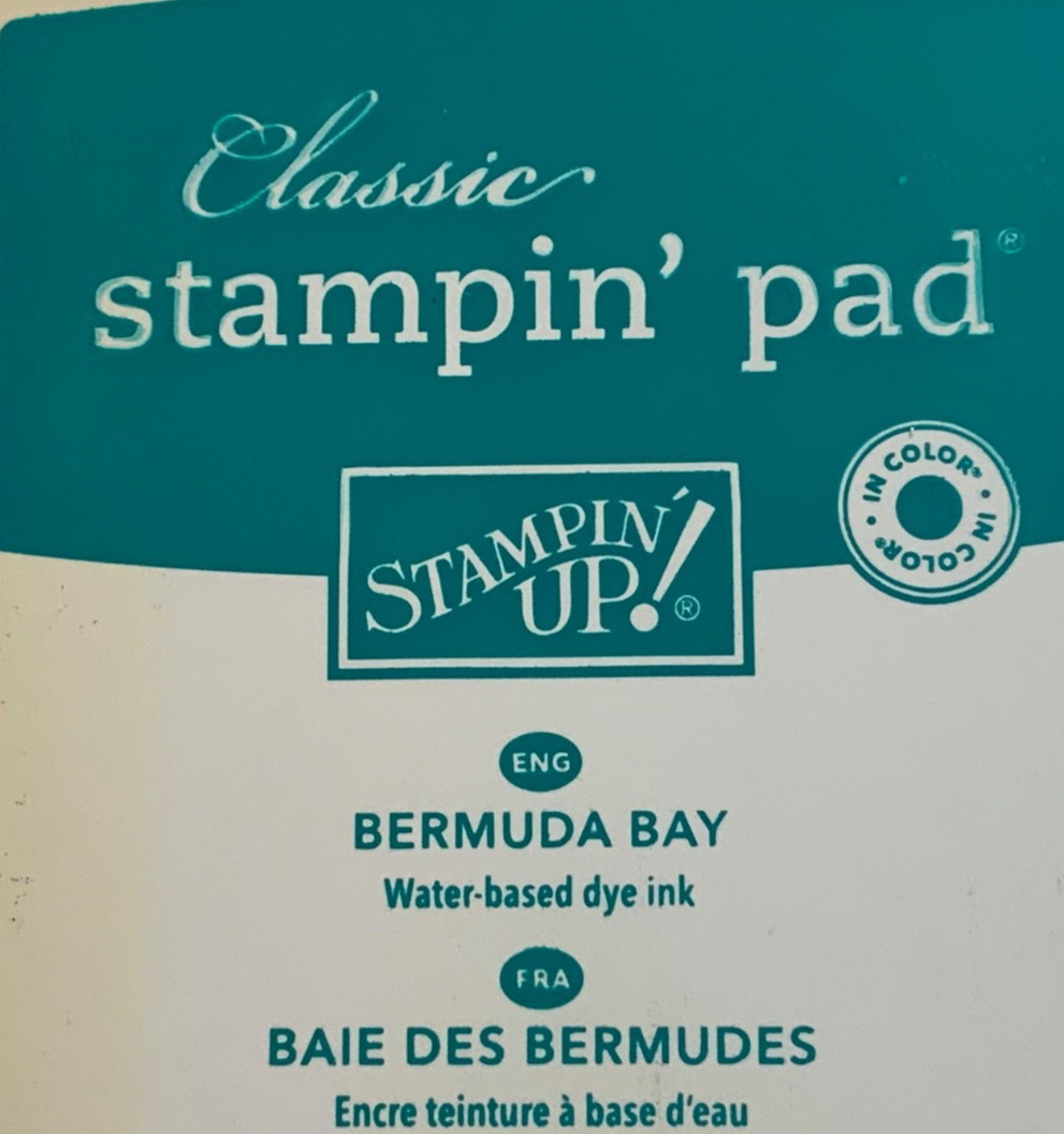 Stampin Up Ink Pad BERMUDA BAY IN COLOR 2009 Retired Classic Case AS IS FLAW