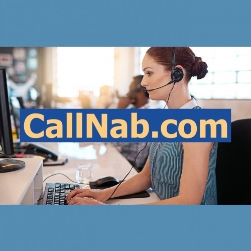 CallNab .com / Domains For Sale / Business Brand, Website Name / Porkbun
