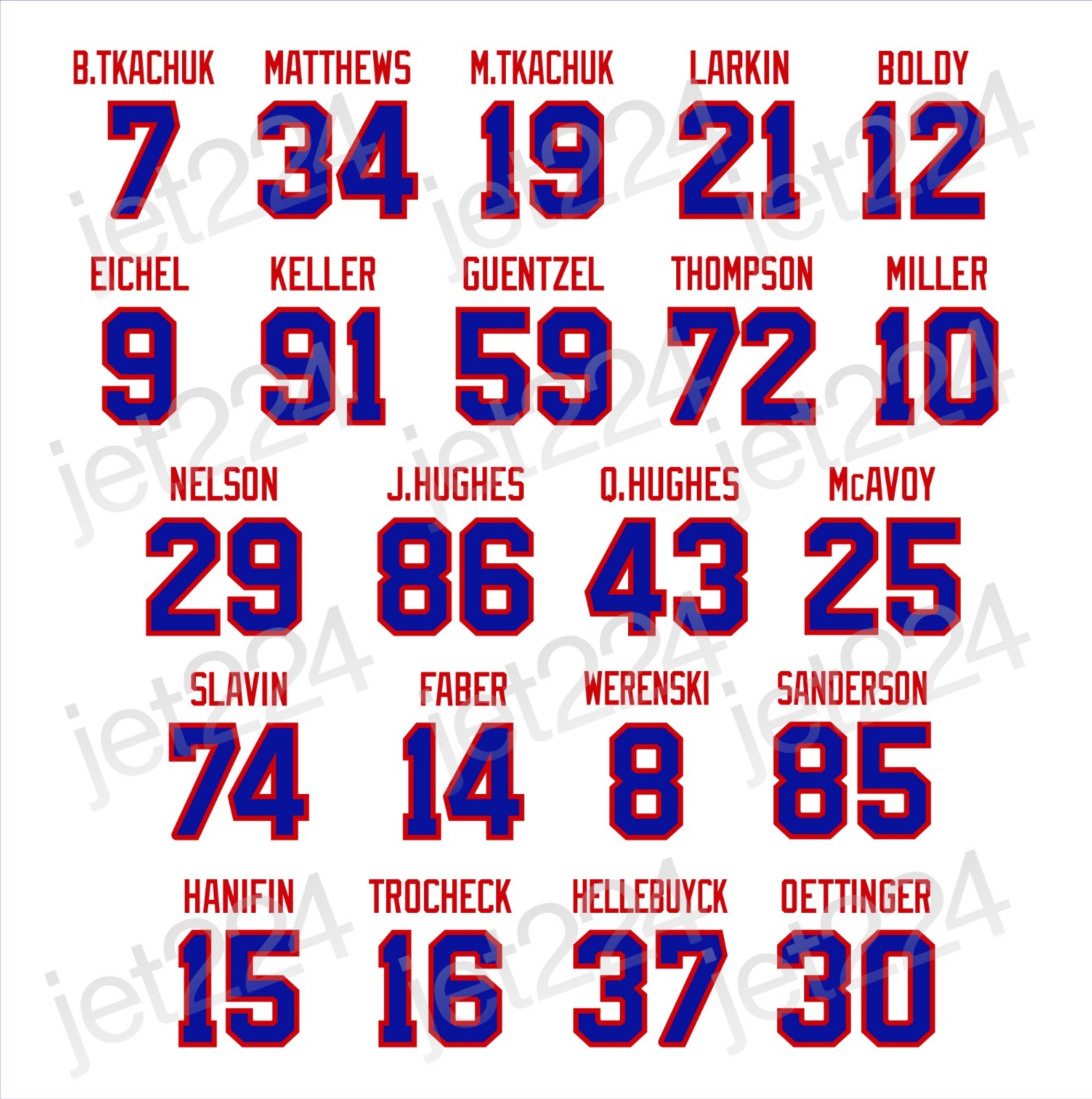 Team USA 2026 Olympic Ice Hockey STICKER DECAL Tkachuk Hughes Boldy Eichel