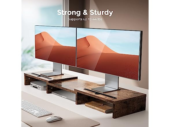 LORYERGO Dual Monitor Stand