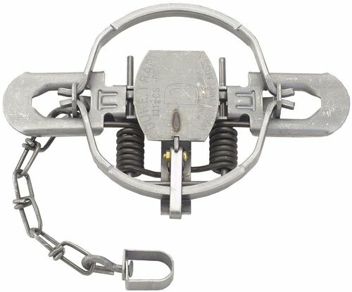 1 Duke # 1 3/4 OFFSET Coil Spring Trap 0476 Raccoon Coyote Bobcat Fox Trapping