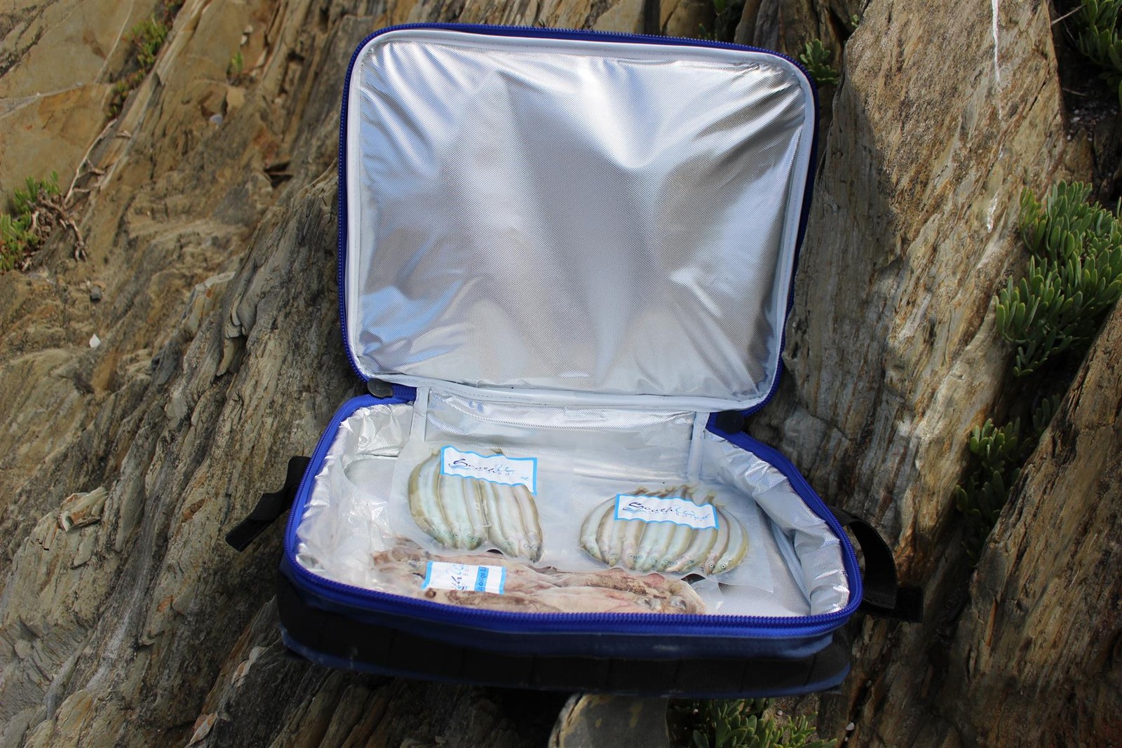 Sakuma Bait Pack
