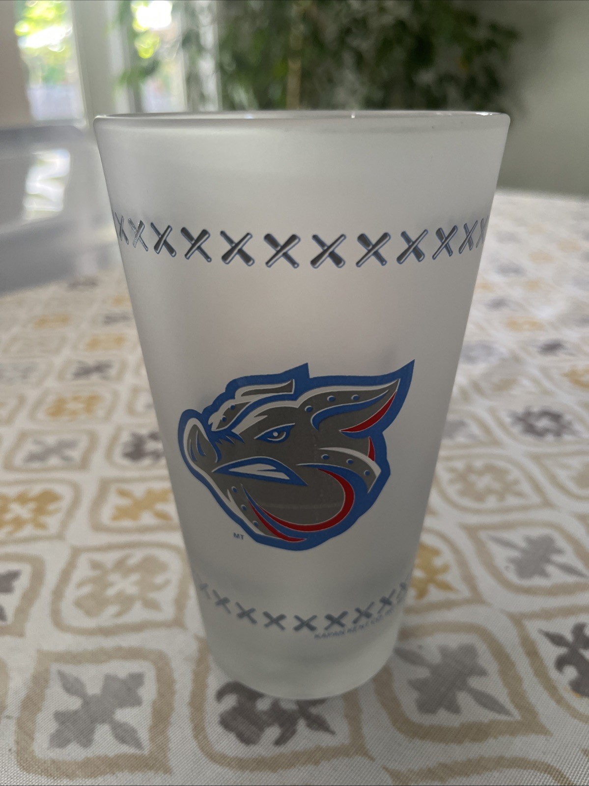 Lehigh Valley Iron Pigs Minor League Phillies Baseball Pint Beer Frosted Glass