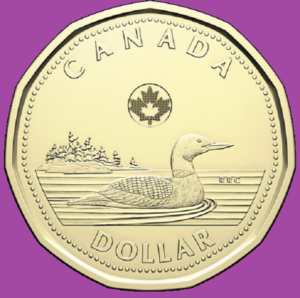 2025 Canada One Dollar Loonie Coin. Mint UNC $1 Loon