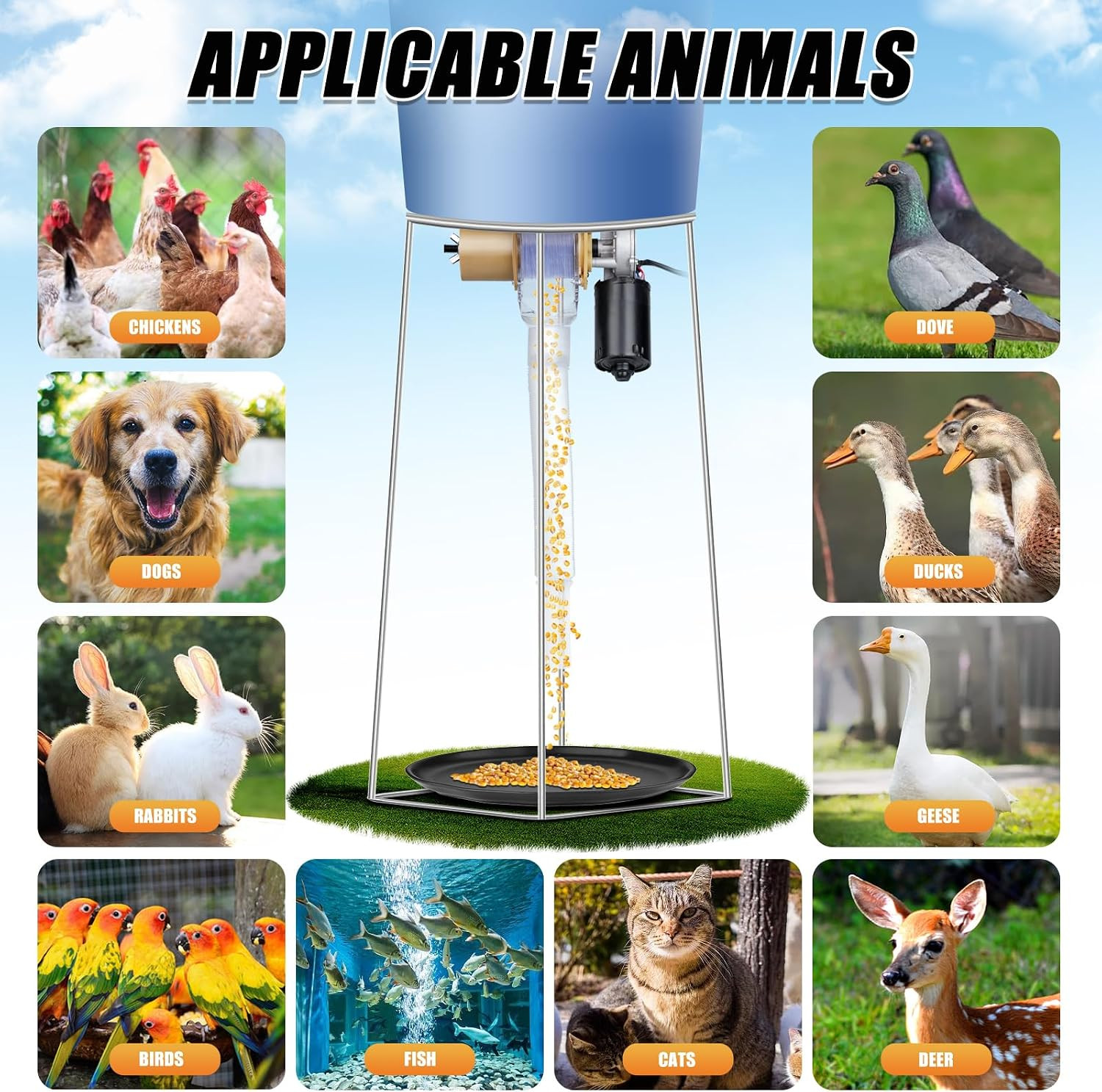Timed Automatic Chicken Feeder 16 Groups of Timer & Quantitative | Chicken Feede