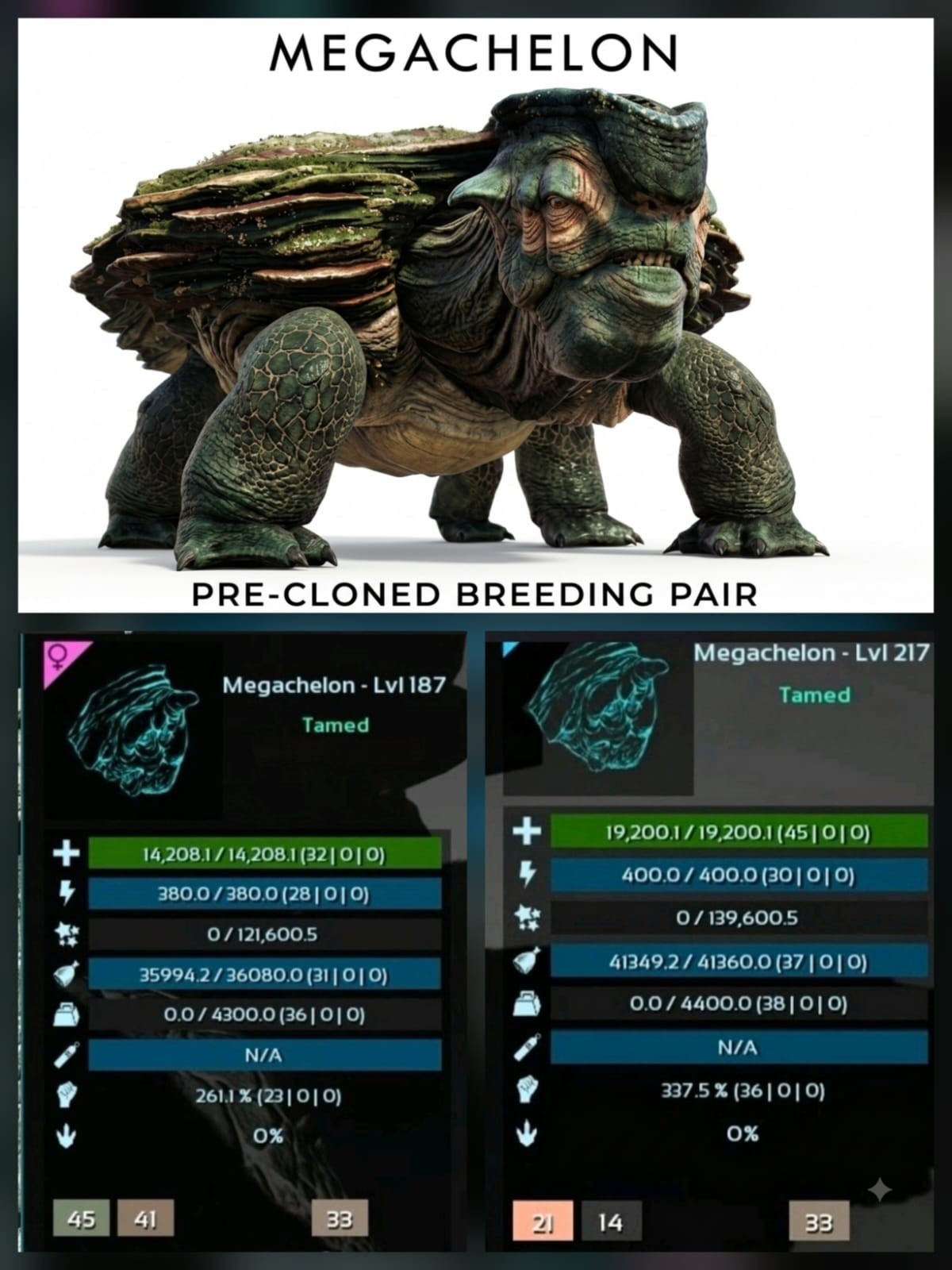 MEGACHELON Pre-cloned - Genesis - New Dino - Ark Ascended PVE Official Crossplay