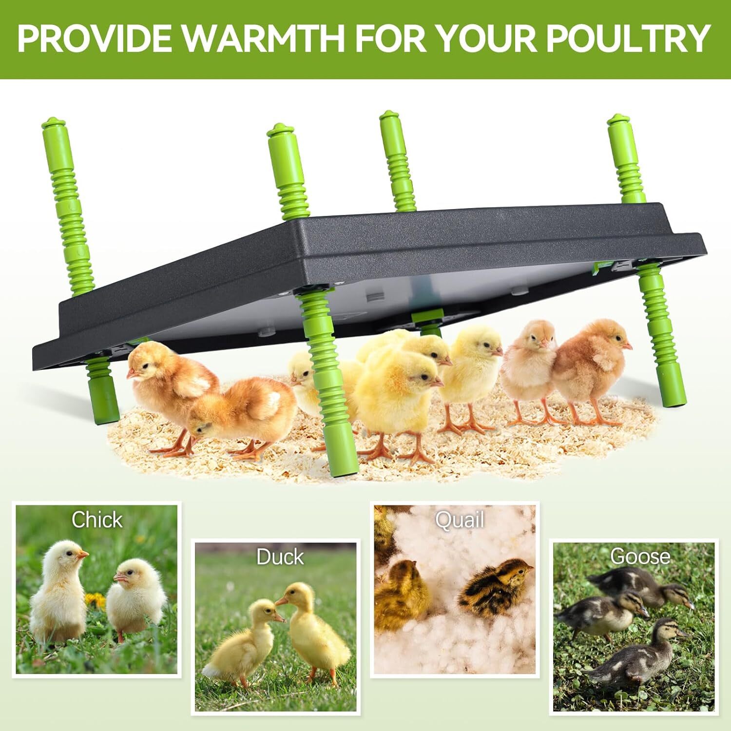 12"X16" Chick Brooder Heater Plate, Brooder Plate for Chicks with Adjustable Hei