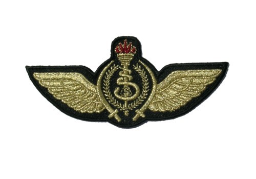 Iraqi Air Force pilots wings