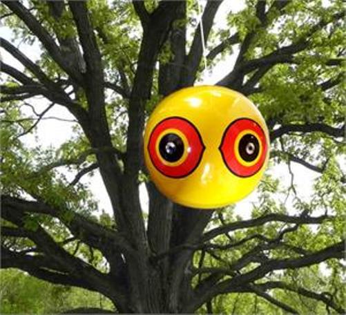 Bird-X Scare-Eye Ballon Bird Deterrent