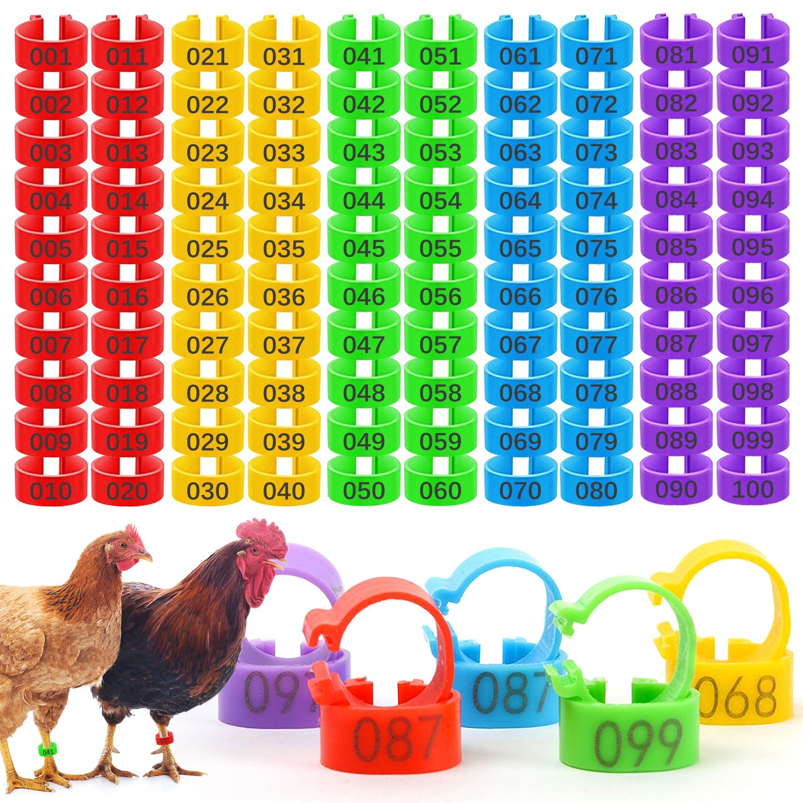 KornaDoz 100 Pcs 16mm Numbered Chicken Leg Bands, Colorful Poultry Leg Bands ...