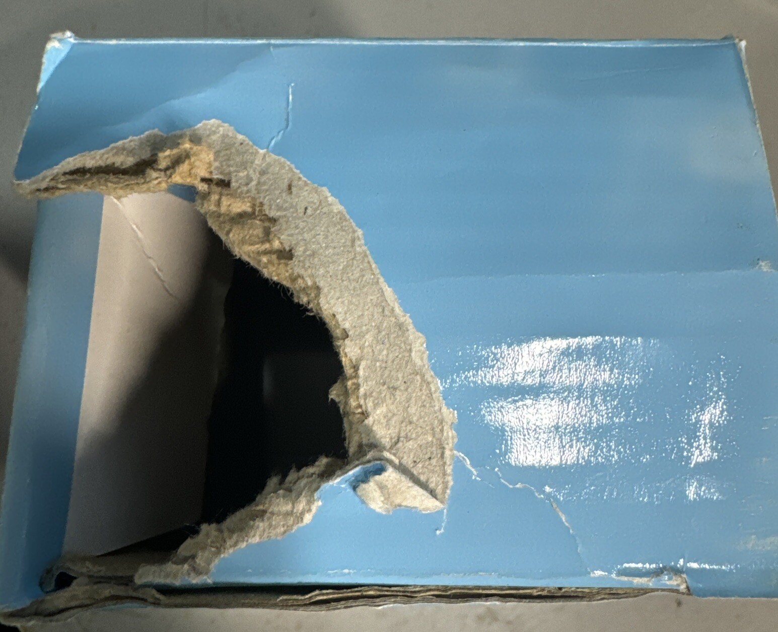 AM486 Appliance Module 2-Pin Polarized - X10