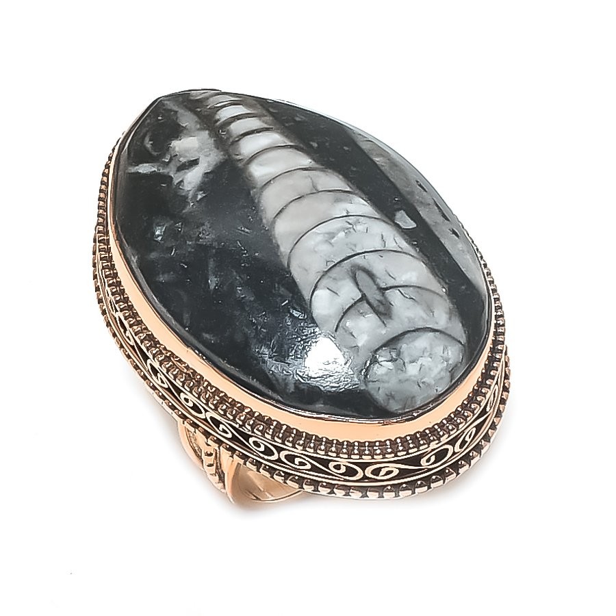Orthoceras Fossil Gemstone Copper Jewelry Ring Size 8 Gift for Her w251