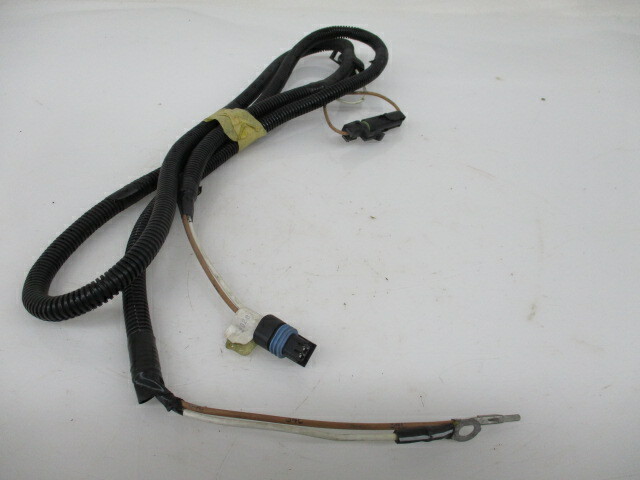 International Truck Harness (2028173C91)
