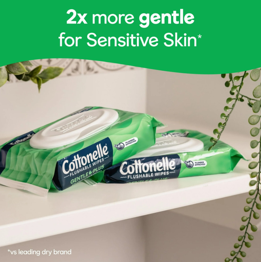 Gentle Plus Flushable Wet Wipes, 4 Flip-Top Packs